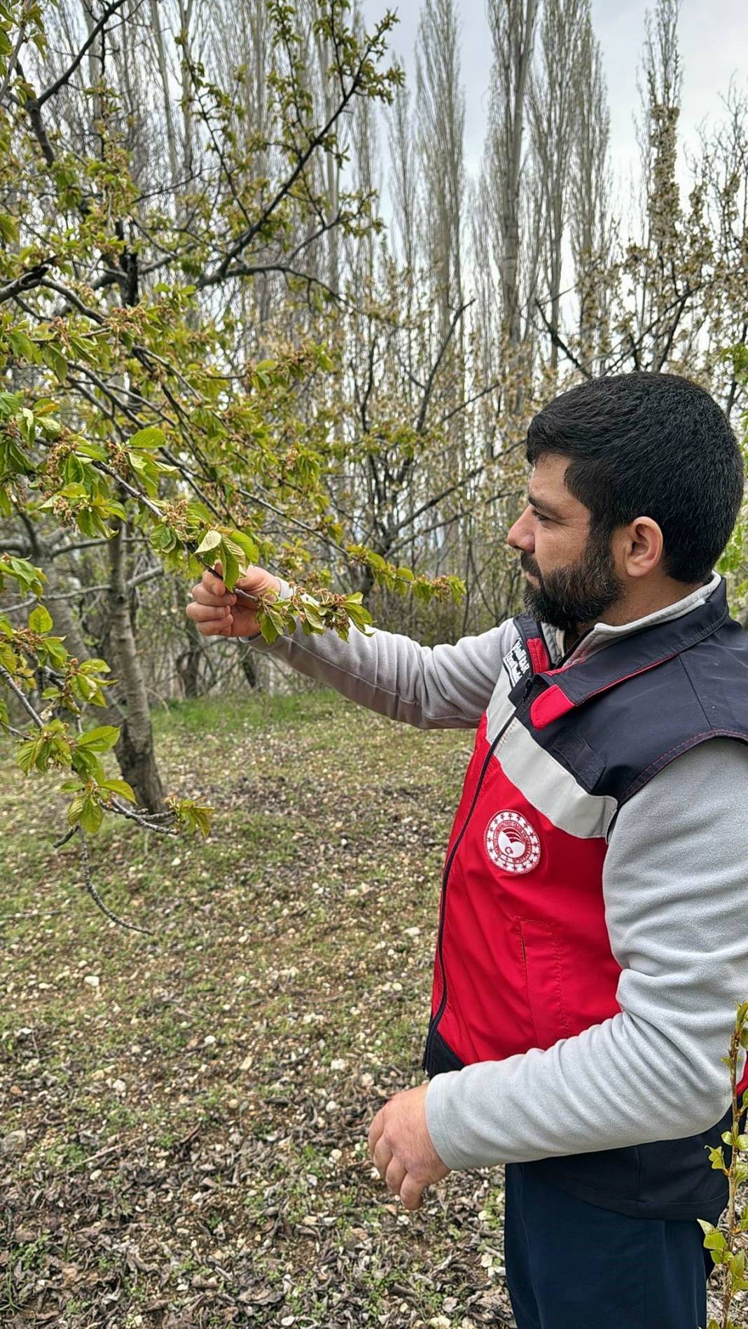 Tarımda tarihin en büyük felaketi yaşanıyor! Meyve, sebze fiyatlarında rekor artış yaşanacak 21